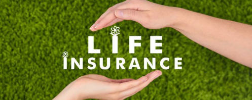 Whole Life Insurance