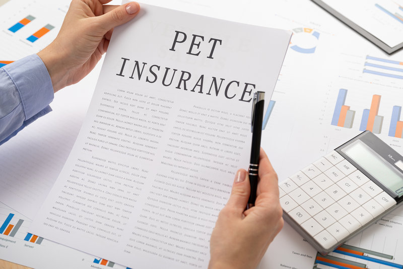 Pet Insurance