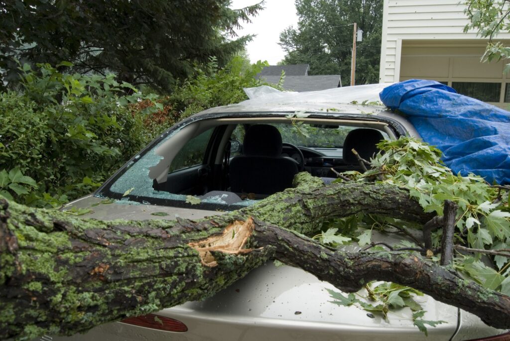 Does Car Insurance Cover Tree Damage