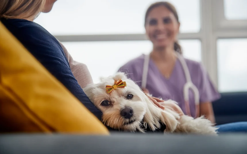 Does Pet Insurance Cover Emergency Visits