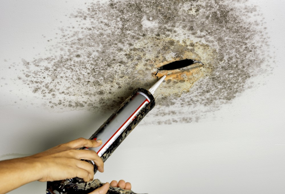 Does Renters Insurance Cover Mold Damage