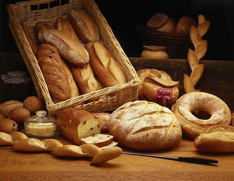 Bakery Insurance Requirements