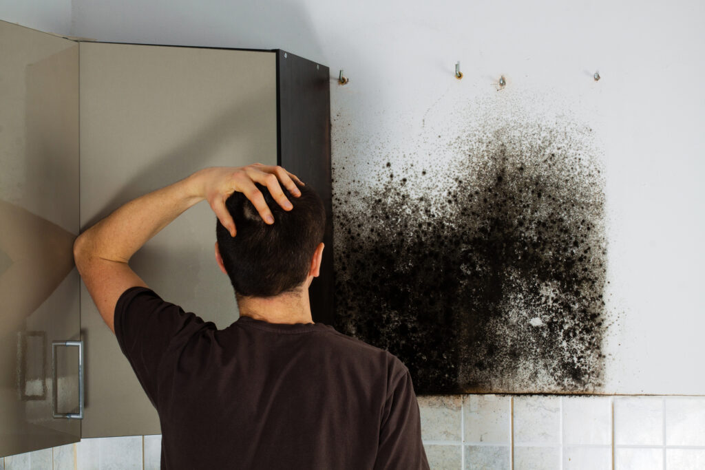 Does Renters Insurance Cover Mold Damage