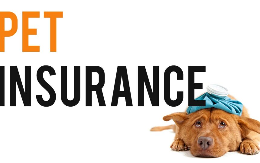 How To Cancel Fetch Pet Insurance