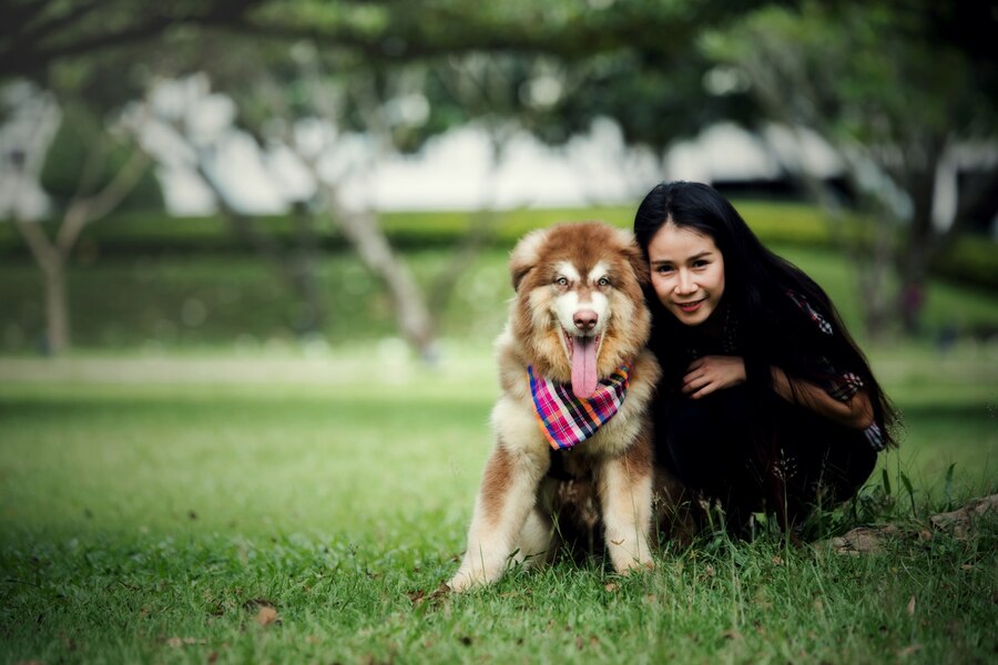 Dog Breeders Insurance