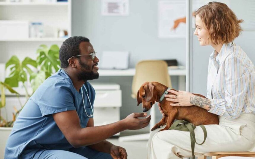 What Does Pet Insurance Cover